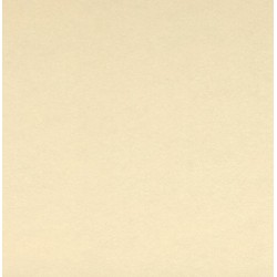 دفتر رسم جريدويت وجهين بيج الطبيعة مكس ميديا مصمغ 220غم 30 ورقة 